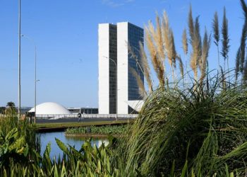 Eleição de outubro renovará um terço do Senado; confira as regras