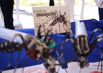 Casos de dengue têm aumentado e pressionam serviços de saúde em cinco Estados