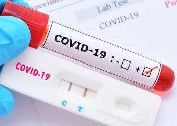 José de Freitas não registrou casos de Covid-19 nas últimas 24 horas