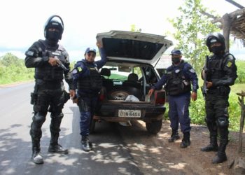 Carro é apreendido com grande quantidade de drogas em José de Freitas