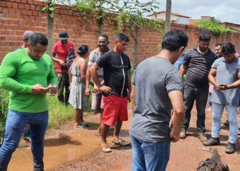 Equipe da Prefeitura de José de Freitas realiza captura de Jacaré no Centro da cidade