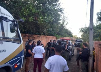 Crianças que trabalhavam em uma carvoaria e sofriam maus-tratos físicos e psicológicos são resgatadas