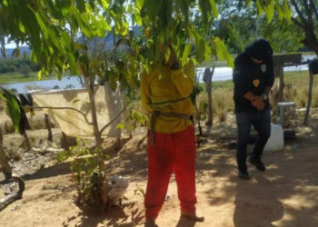 Operação já resgatou 13 trabalhadores em situação de escravidão no Piauí em 2022