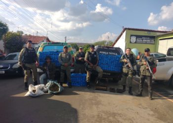 Homem é preso com mais de 500 tabletes de maconha em sítio no Piauí