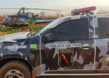 Polícia Militar encontra plantação com quase 100 mil pés de maconha em Campinas do Piauí