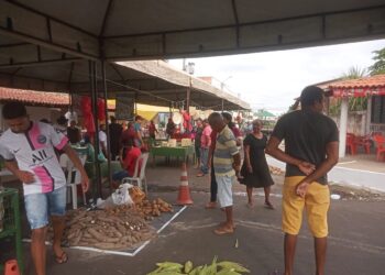 Prefeitura de José de Freitas lança Feira da Agricultura Familiar
