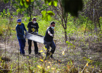 Homem é encontrado morto em sítio abandonado na zona Leste