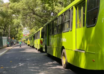 Teresina terá frota máxima de 220 ônibus no 2º turno da eleição, diz Setut