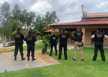 PF deflagra operação em Teresina e em José de Freitas e prende pessoas por tráfico interestadual de drogas