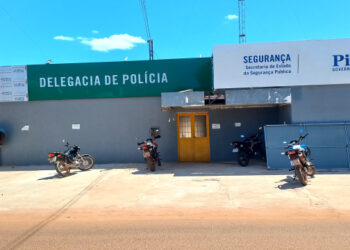 Polícia Civil prende dupla por prática de furto em José de Freitas