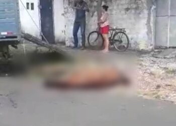 Semar notifica Centro de Zoonoses de Teresina sobre caso que envolve morte de cavalo