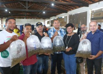 STTR de José de Freitas Promove Ações de Apoio a Agricultura Familiar