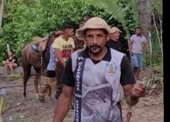 Homem morre após ser atingido por palmeira em José de Freitas