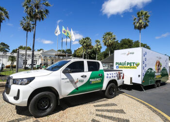 Castramóvel terá atendimentos gratuitos na capital e no interior