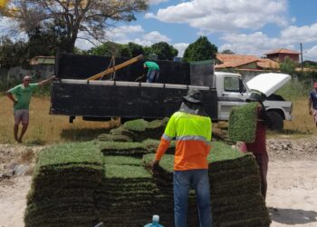 Grama do Jacozão está pronta para ser plantada no estádio em José de Freitas