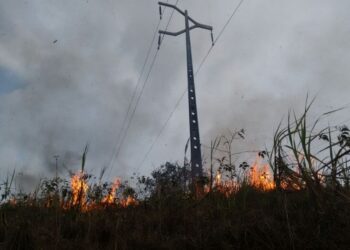 Número de queimadas próximo da rede elétrica aumenta em 83% no Piauí