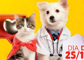 Vacinação antirrábica acontece neste sábado em José de Freitas