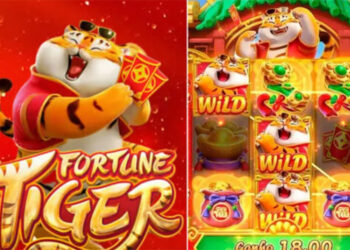 Projeto na Alepi proíbe divulgação de jogos de azar por influenciadores digitais; multa de até R$ 1 milhão