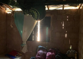 Grupo Móvel resgata 13 pessoas em situação análoga à escravidão em fazenda na cidade de Gilbués