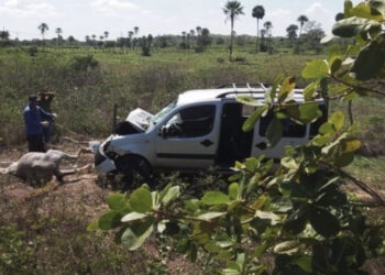 Motorista colide carro em animal no rodoanel de José de Freitas
