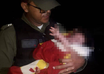 Bebê de 4 meses é resgatado em mata após mãe sofrer tentativa de homicídio