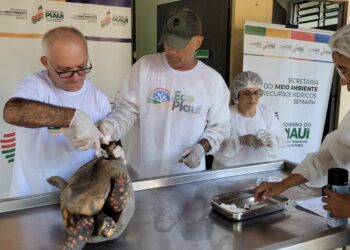 Mais de 40 animais silvestre reabilitados retornam à natureza em José de Freitas
