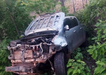 Hilux fica destruída após colisão com animais na PI 214 em município do Piauí