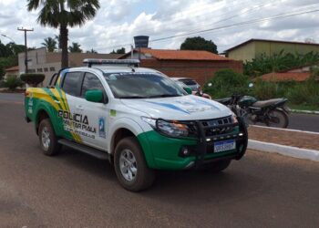 Homem é preso suspeito de maus-tratos e abuso sexual contra cachorra em Miguel Alves