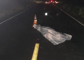 Homem perde a vida após colidir moto com animal na PI-113 em José de Freitas