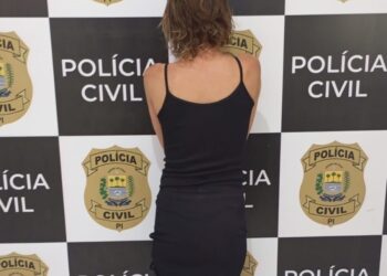 Polícia prende mulher acusada de vários furtos na cidade de Luzilândia