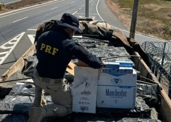 PRF apreende quase 600 mil maços de cigarro contrabandeados na zona rural de José de Freitas