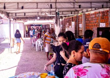 XII Feira de Produtos da Agricultura Familiar de José de Freitas-PI foi um Sucesso