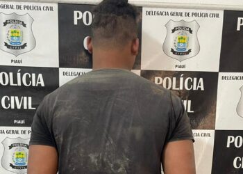 Filho que matou o próprio Pai é preso pela Polícia Civil em José de Freitas