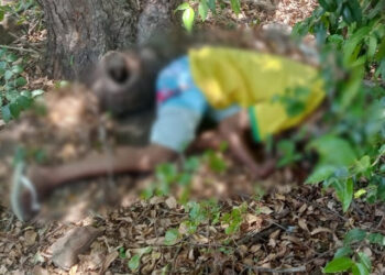 Jovem natural de Luzilândia é encontrado morto com disparos de arma de fogo em Buriti dos Lopes