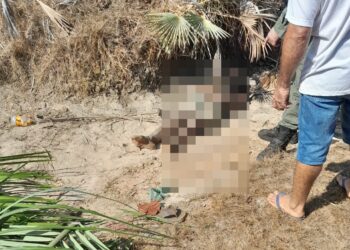 Corpo de homem é encontrado na estrada vicinal entre José de Freitas e Lagoa Alegre