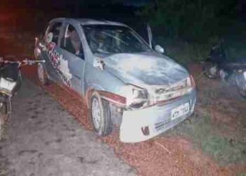 Búfalos causam prejuízos após provocar acidentes em José de Freitas