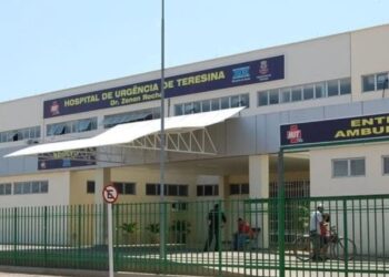 Criança de 4 anos envenenada no litoral do Piauí permanece internada no HUT