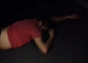 Motociclista colide com vaca na PI-113 e animal morre no local