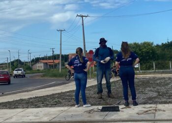 Adapi intensifica fiscalização sobre capina química em áreas urbanas