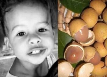Criança de 2 anos morre engasgada com caroço de pitomba no Piauí