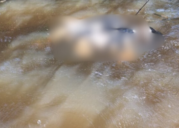 Corpo de idoso é encontrado após 24 horas desaparecido na zona rural de José de Freitas