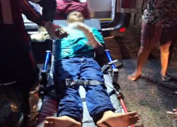 Estudante sofre acidente após colisão com cavalo na rodovia entre José de Freitas e Povoado Ema