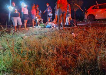 Casal sofre acidente de moto ao colidir com animal na PI-113, em José de Freitas