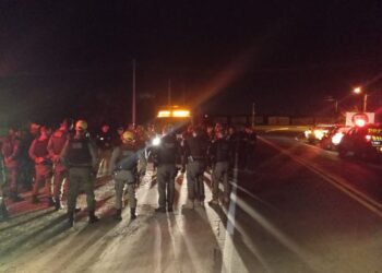 Operação Porteira Fechada chega a José de Freitas para recolher animais soltos nas pistas