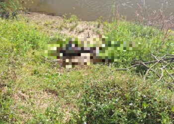 Corpo de homem desaparecido é encontrado às margens do rio Parnaíba, em União