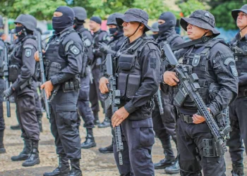 Piauí tem a menor taxa de homicídios do Norte e Nordeste, aponta Atlas da Violência 2025