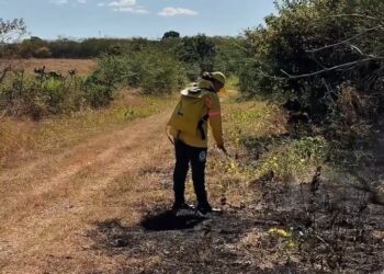 Brigada Municipal age rápido para conter princípio de incêndio no bairro Princípio, em José de Freitas