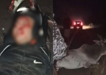 Professor fica ferido após colisão com animal na PI-113, em José de Freitas