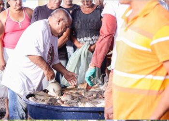 José de Freitas realiza Feira da Agricultura Familiar e do Peixe Vivo neste sábado