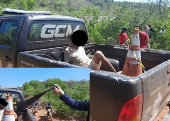 Guarda Civil Municipal de José de Freitas prende suspeito de tentativa de homicídio na zona rural